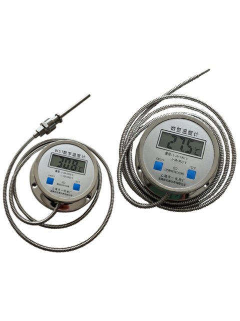 Digital thermometer with probe WSTDTM-491 high-precision stainless steel digital water temperature meter cooking oil temperature