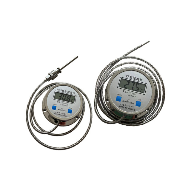 High Precision Digital Thermometer with Probe Electronic Digital Water  Meter Temperature Measuring Instrument 10m Cable