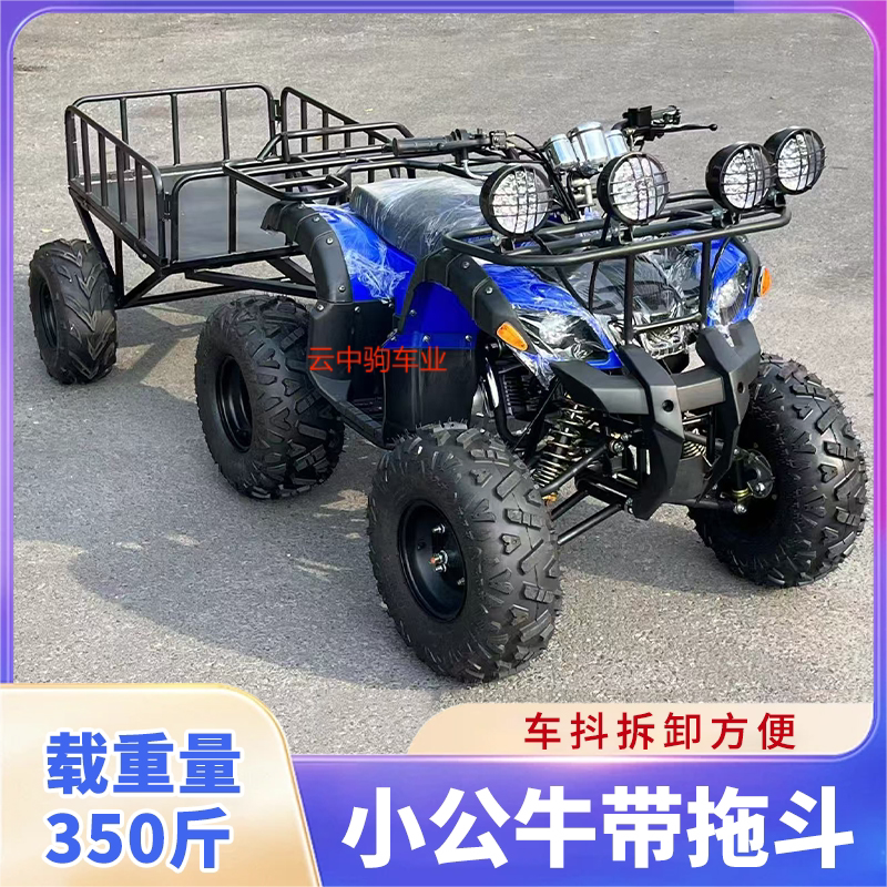 Atv All-Terrain Beach Vehicle Four-Wheel Mini Bull Off-Road Motorcycle Mountain Shaft Drive Electric Farm Vehicle for Cargo Transport