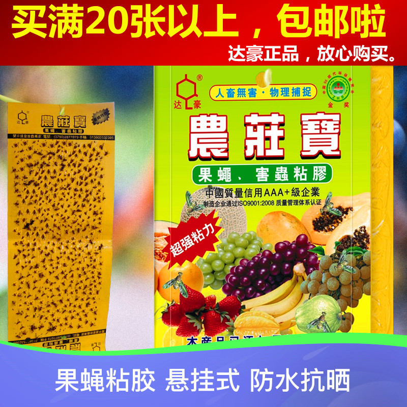 Dachau Drosophila Trapping Plate Fruit Fly Trap Agriturus Treasure fruit fly Sticky Glue Attractant Spice full 20 stickers