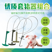 Pig used Baoding equipment Breeding Equipment Cover Pig with Pig Cover Word Binding Rope Beast with Baoding Rope Sheath Pig stainless steel