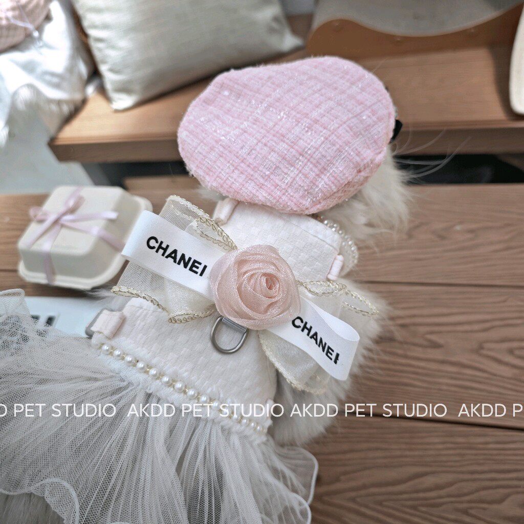 宠物狗狗猫咪春夏新款小香风套装，萌宠公主裙+牵引绳，泰迪比熊约克夏最爱！-猫牵引绳-淘宝好物网