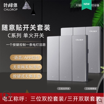 Sky Cat Elf Single Live Wire Smart Wall Switch Casual Sticker Double Control Wireless Remote Control Smart Home Free Wiring