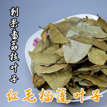 Graviola soursop leaves durian tea health soursop half a pound one pound