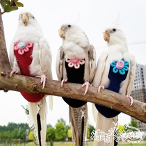 Clear home parrot bird clothes shit pocket diaper flight suit single layer suede ultra-light medium and small body shape