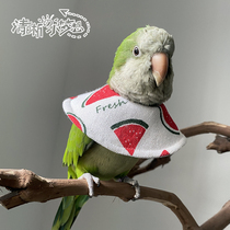 Clear house parrot bird collar Anti-bite hair pecking hair injury protection collar Neck cover Cape neck cover