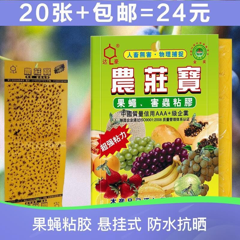 Dahao Farm Treasure Fruit Fly Sticky Board Sticky Fly Glue Trap Fruit Fly Orange Small Solid Fly Needle Bee Pest 20 Sheets