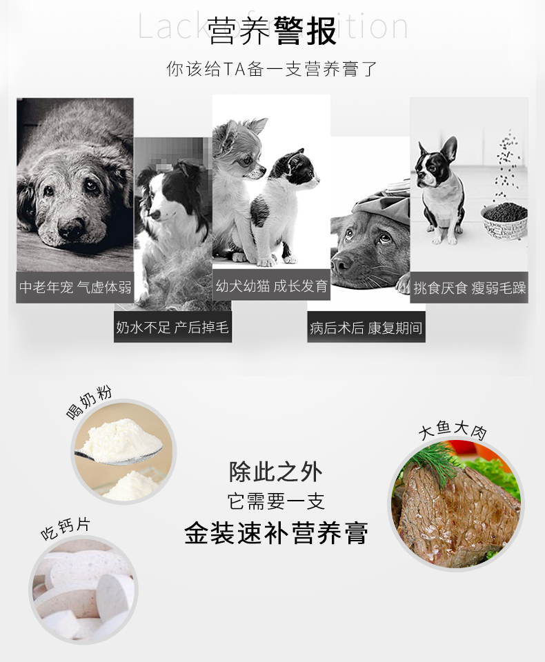 (3 miếng quần áo) vật nuôi dinh dưỡng kem chó mèo và trẻ nữ chó sau khi phẫu thuật chó Teddy vàng tóc vỗ béo chăm sóc sức khỏe sữa cho mèo mẹ
