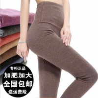 Quần ấm áp cho nam và nữ cao eo cao quần cotton dài Quần cashmere đáy quần len cộng với phân bón quần XL quần tất nam