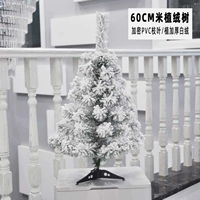 60 см бархатное дерево