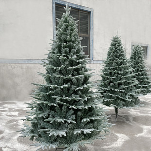 Упасть с снега елки стекались плотная белая цвет моделирования Снежное дерево шифрование PE елки снежинка снег декоративный Shaoxue Tree