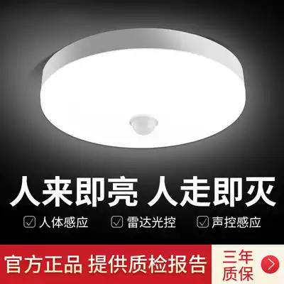 LED radar voice control induction human body sound and light control ceiling light aisle staircase corridor project super bright LED induction light
