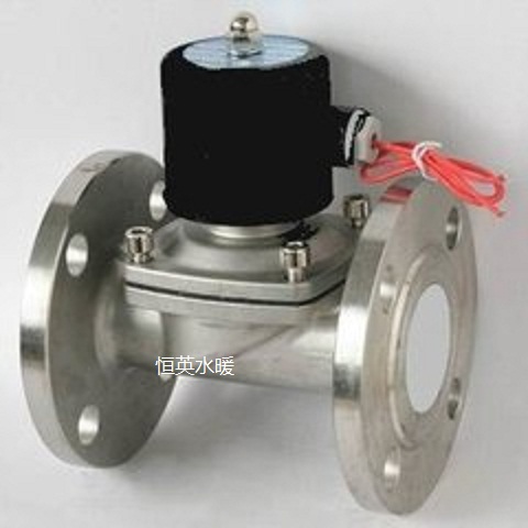 2S stainless steel anti-corrosion resistance high temperature solenoid valve water valve AC220V valve DC24VDC12V