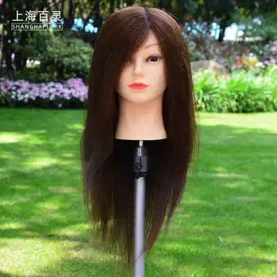 Human head model real hair full true Apprentice cut hair, braid hair can be permed, male head, real hair practice