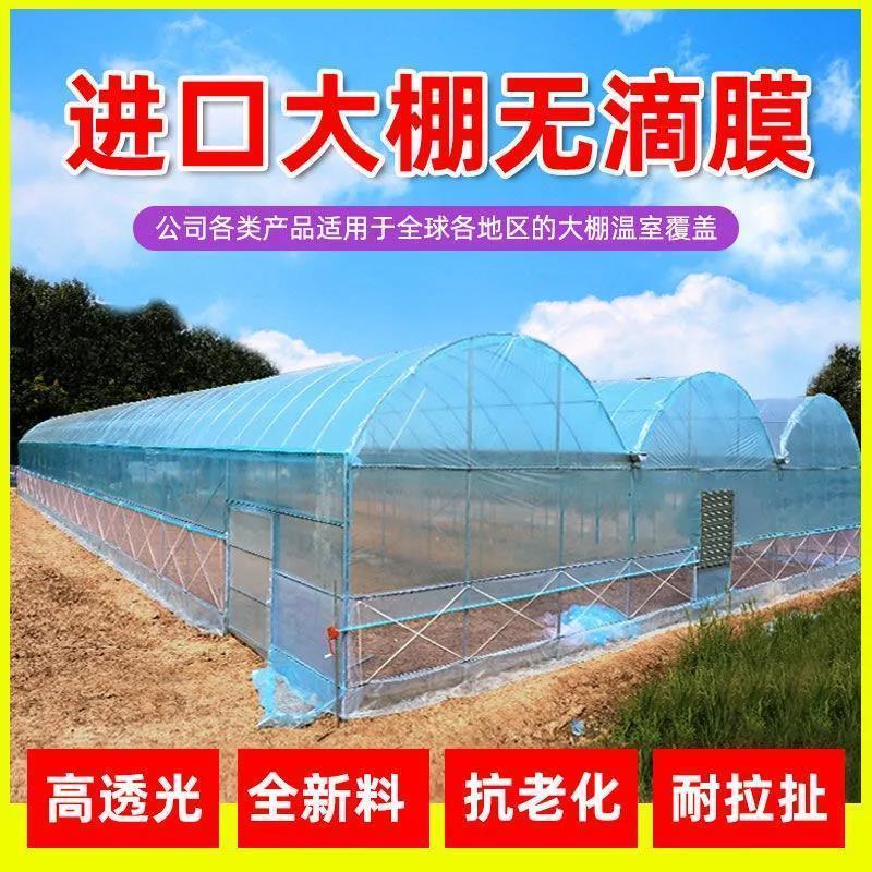 Greenhouse plastic cloth greenhouse film thickened anti-aging blue transparent plastic drip-free film insulation shed film culture film