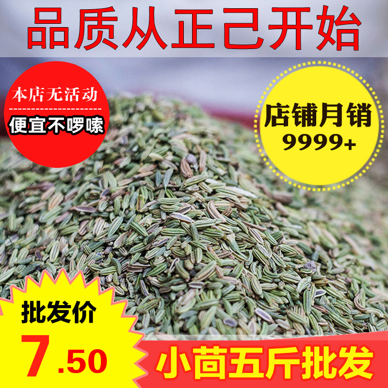 Quality Youth Fennel 500g New Stock Edible Fennel Seed Grain Spices Seasonings Zhengji Dry Goods Big