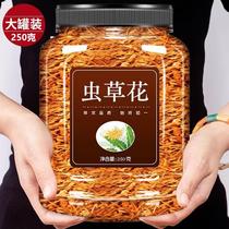 Caterpillar Fungus Flowers Official Flagship Store Dry Goods 250g Golden Pupa Caterpillar Fungus Dried Soup stock Boiled Chicken Broth from Cushes Flower Commercial