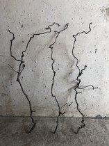 Zen Dry Branch withered vine decorative dragon jujube dried branch flower arrangement props diy creative natural tree Vine