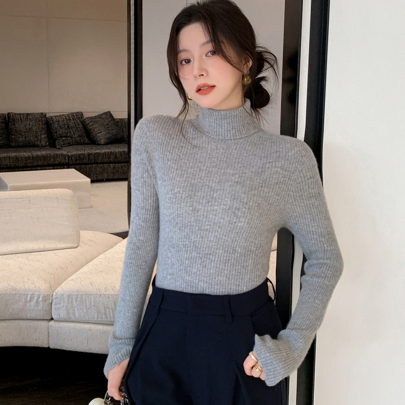 Turtleneck Sweater for Women, Autumn and Winter, High-End Feel, 2025 New Style, Slim Fit Pullover, Long-Sleeved, Black Knitted Base Layer