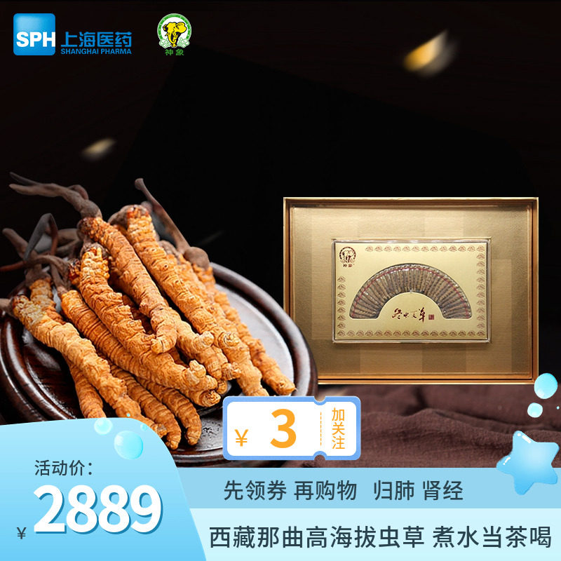 Tibetan caterpillar fungus Aweto 10 gr Tiled Gift box Cooking Soup for cooking and boiling tea for about 32-34