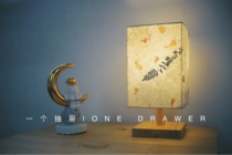 "A drawer" hand-made antique flowers and plants decorative desk lamp diy hand-made material package birthday gift 38