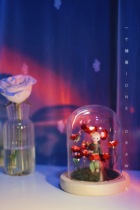 A drawer original small night light Prince and rose bushes handmade diy material wrapping a birthday present