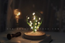 One drawer  Hand for Suzuki Flowers Small Night Light Handmade Diy Material Bag Decorated Bedroom With Birthday Present