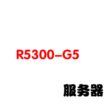 Server r5300-g5 can be customized