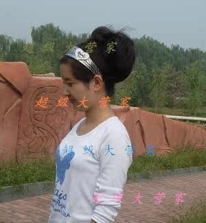 Extension cheveux - Chignon - Ref 249019 Image 21