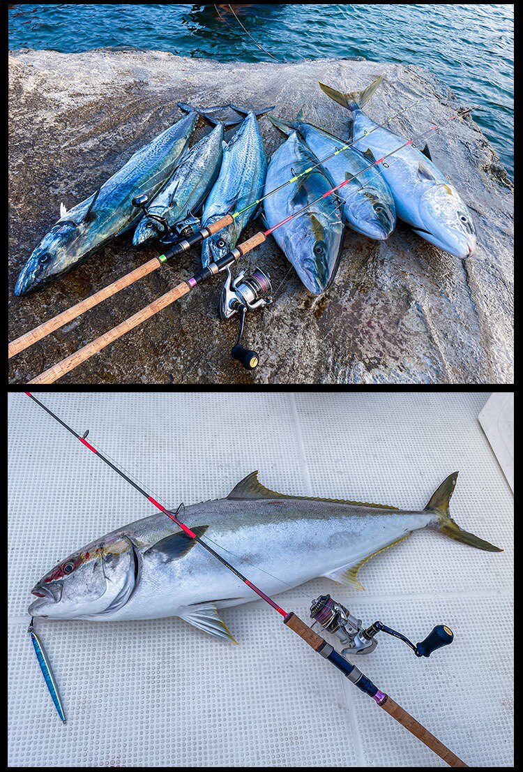 Море удочкой fishfarmer six pulse系列624 625 643 直柄独节快抽铁板竿包邮