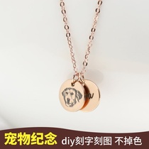 Customized pet name engravephoto round double coin without fading necklace girl jewelry cat dog memorial gift