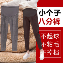 Pregnant woman pants winter plus suede thickened outside wearing small sub-winter style lamb cashmere autumn winter 80% 150 light core suede woman