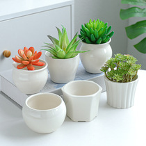 Simple white succulent flowerpot ceramic combination potted cactus gardening small flowerpot cross-border foreign trade flowerpot