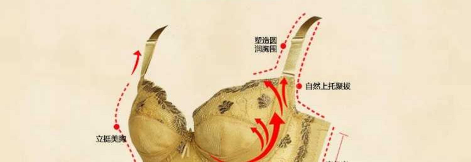 Midrib Laca cơ thể đồ lót chính thức hàng đầu chính thức điều chỉnh cửa hàng bụng hip ba mảnh áo ngực trang web chính thức định hình - Corset hai mảnh đồ lót xuất khẩu