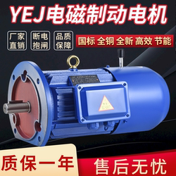 YEJ 전자기 브레이크 모터 0.75/1.1/1.5/2.2/3/4/5.5KW 삼상 브레이크 모터 380V