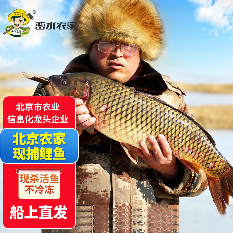 Fresh carp from Miyun farm water source