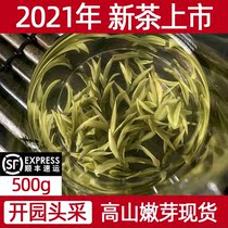 White tea Anji 2021 new tea Supreme opening garden head picking special sprout White Tea Tea 500g