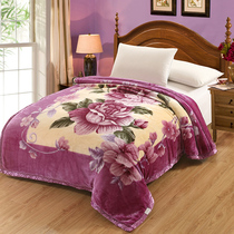 Meiya Yabao Blanket Thickened Single Dormitory Student Winter Raschel Double Cotton Cover Blanket Cover Blanket Quilt