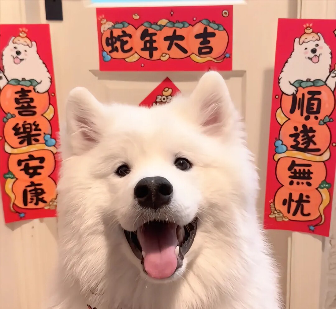 萌趣包袋