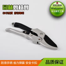 Pruning shears Labor-saving fruit branch scissors Germany imported vigorously tree scissors coarse branch scissors Garden scissors Stainless steel floral art