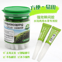 Istada fish tank instant glue Moss glue grass sunken wood coral glue can be operated underwater coral glue