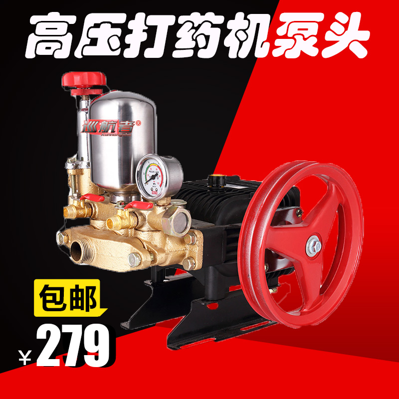 Agricultural Triple-Cylinder Plunger Pump High Pressure Pump Home Spray Machine Spray Machine Landscaping Fruit Tree Car Wash High Power Beating Pesticide