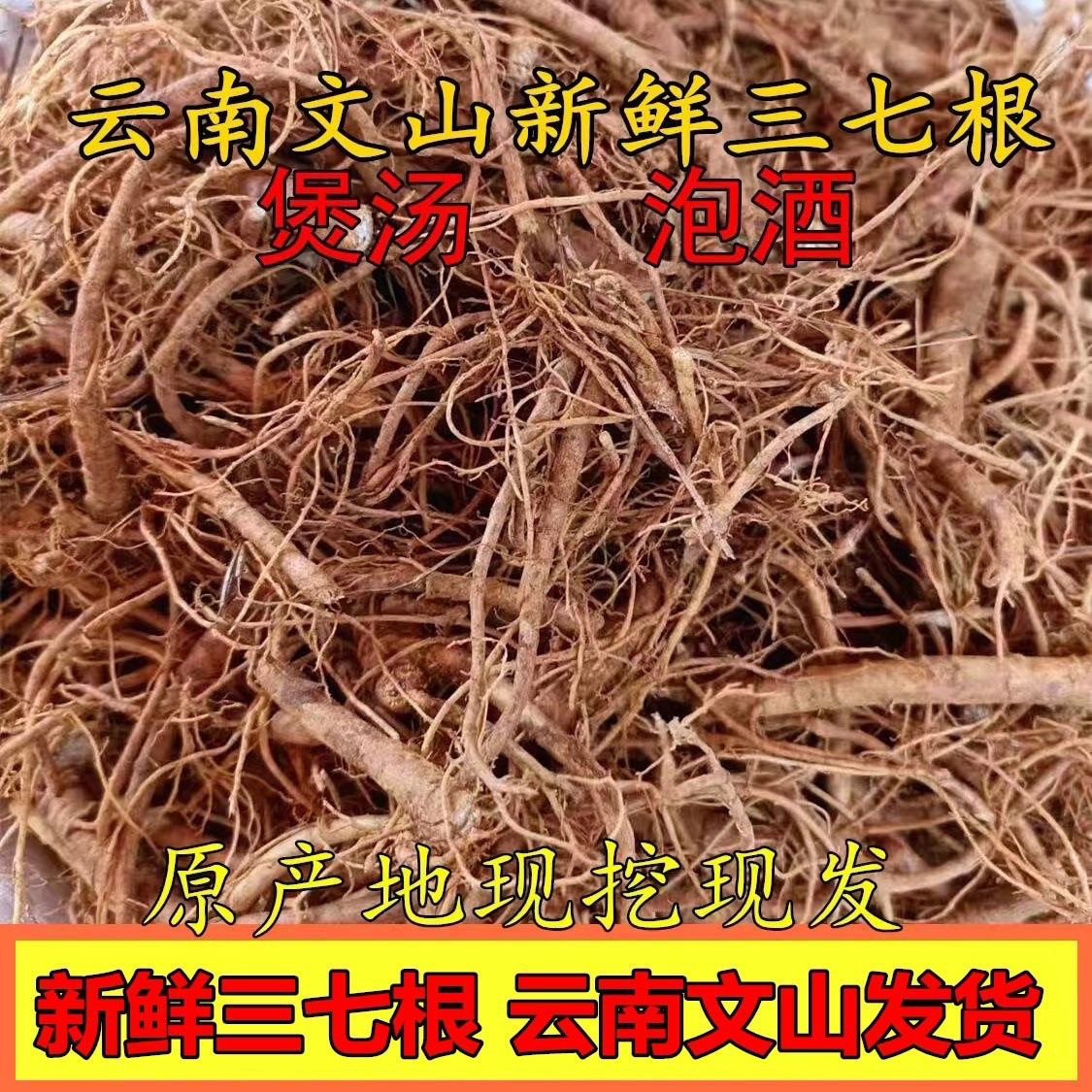 五年三七现挖新鲜三七根?文山三七怎么选才靠谱?🔥-三七-淘宝百科网