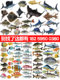 Promotional Outdoor Fiberglass Ocean Series Simulated Fish Model Decoration Wall-Mounted Shark Head Ornaments Resin Crafts