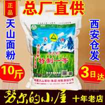 Xinjiang Tianshan Flour special one powder 5kg medium and high gluten baked dumpling powder Ramen fine pull strips 10 kg wheat flour