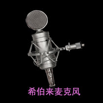 Hebrew small es bottle professional singing shouting Mai host mobile phone computer live condenser microphone microphone