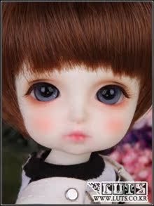(LUTS)Tiny Delf NILS (customs declaration Group)