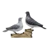 Медный мастер качание