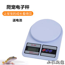 REPTILE CORN SNAKE BAO WEN SHOUGONG HEALTHY WEIGHT SCALE ELECTRONIC SCALE WEIGHT SCALE CLIMBING PET TORTOISE LIZARD WEIGHING