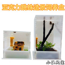 New acrylic jumping spider professional feeding box Landscaping box Florida jumping spider non-crab spider reptile box